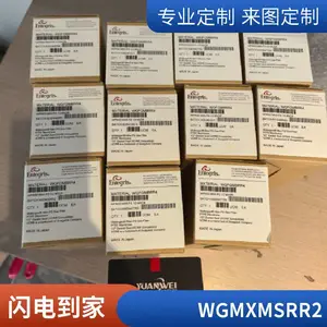 Entegris Ӣ�ظ� Ӧ�ظ� 1/4�� ���� ������ WGFGT1PR1