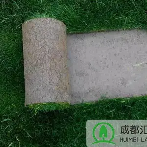 成都汇美绿化草坪-剪股颖草坪-耐践踏果岭草草皮