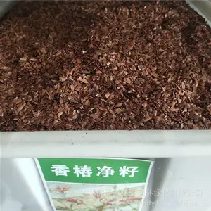 �����²��߲����� �㴻���� ��ѿ*** �۸���� ***