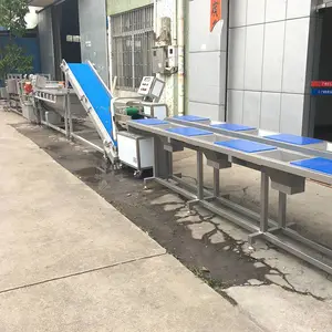 �߲˼ӹ�������ѧ��Ӫ����***�޵��������豸���������߹滮