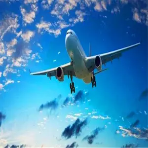 ������Ŧ��˹��NCL���˷���