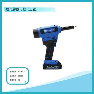 �޸�ROCOL��ҵ���綯��íǹ��RL-T2
