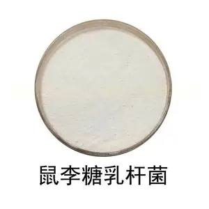 鼠李糖乳杆菌-冻干型乳酸菌粉 食品级活性益生菌调理肠胃保健 增免