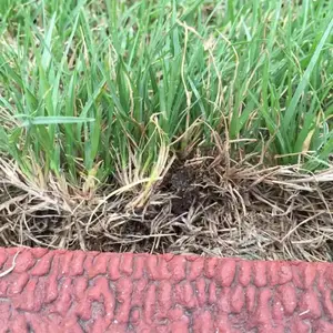Ԥ��������ʧ��ʲô�ݣ���ׯ�̻���ƺ���Ӽ۸�|����é��������������