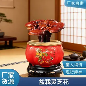 ������֥������ С����֥�辰 ������֥�ڼ� ���ڼ���ѡ ����ֱ��
