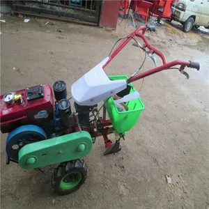 ������΢���� ���Գ��س��ݻ� ҩ�ĵ�������