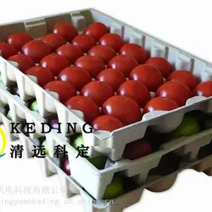 广东工厂供应水果托 蛋盒蛋托 纸浆模塑纸制品