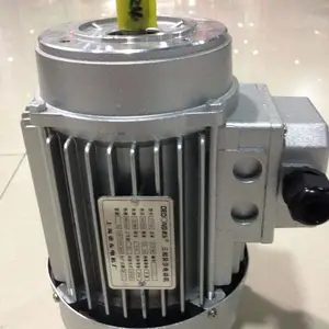 �¶������Ӧ����С����YS8024�����첽�綯��0.75W