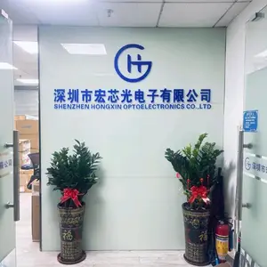 深圳市宏芯光电子有限公司