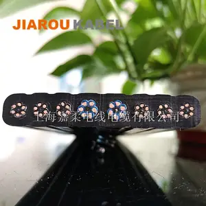 ����������������������� �������ػ��г�ר�ÿ��������
