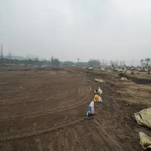 绵阳营养土 腐殖土 草炭土 育苗基质 花卉蔬菜用