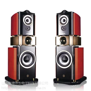 美国狮龙音响5.1环绕家庭影院SP8300NAV发烧影院音箱 现货
