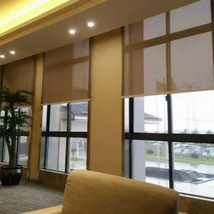 �������� �綯���� �ֶ����� �������� �綯������ ���������� ����������