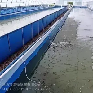 养殖帆布池大型养虾帆布池子帆布鱼池设计刀刮布养殖箱