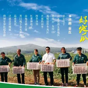 山东薯鑫生态农业发展有限公司
