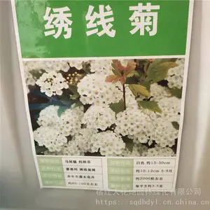 �����¾ջ����� ���߾����� ��ѿ*** �۸���� ***