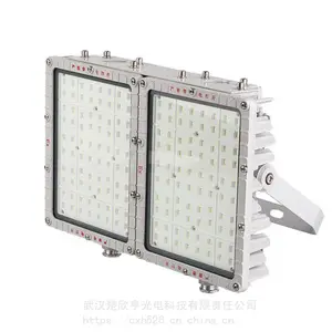 天车作业投光灯ZY-2079-400W 户外LED投光灯 IP66 200W AC220v