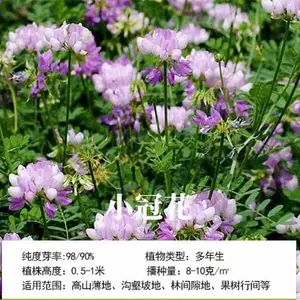 ���ų��໤�²������ӹ�˾��ַ�������Ĳ�����