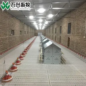 ���ҹ�Ӧ������24Ѩ������˫���Ѩ������ɢ�������� ��������