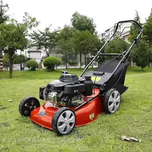辽宁省小型家用汽油草坪机除草割草机