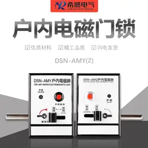 希然电气户内高压电磁门锁DSN-AMY;DSN-BMY厂家直销