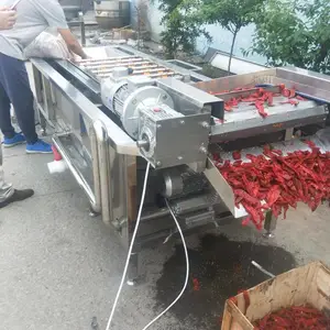 直销多功能洗菜机 海带清洗漂烫 菠菜 娃娃菜清洗加工全自动气泡蔬菜清洗机