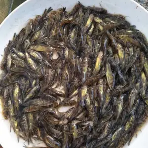 ���ͻ������_�㶫������ֳ�ƹ�����_��ˮ�������ƹ���ˮ������