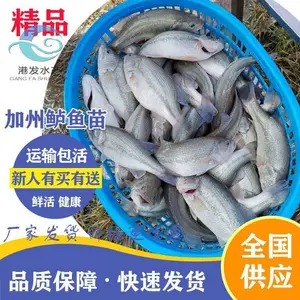 ���������������Ӧ ***�������൭ˮ���� ������ �ƹǻ�������������