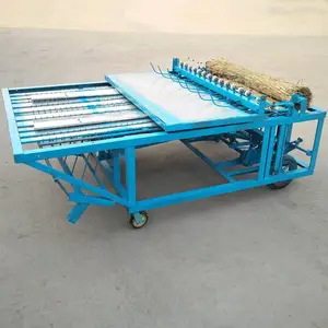 ũ����ֳ��ů������ ʥ³�Ƶ綯������֯��