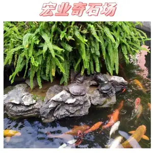 �������;���ʯ��������/Ӣʯ����������/Ӣʯ����Ǯһ��