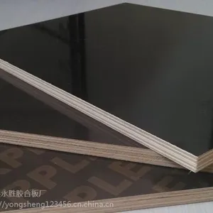 ��ɫ��Ĥ����ģ�� �����ȫ ����*** �͸�