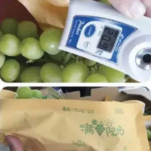 �㽭С����������_����������õ����������_�ӽ����������г��۸�