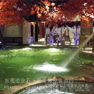 潮州私家花园游泳池工程 泳池水疗设备工程批发