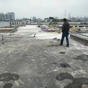 广州防水补漏公司 专业钢结构瓦面防水、屋面、外墙防水施工