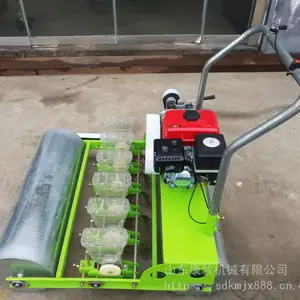 ����4�аײ˲��ֻ� ������߲˾����� �������Ϻ�����ֲ��