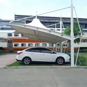 ��������Ĥ�ṹͣ���ﳧ�� ����Ĥ������ �ǻ������� ���׮����