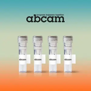 Abcam Anti-beta Actin���� ab8227 �ڲο��� 100ul ��Ʒ�ֻ�
