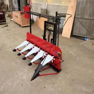 ������������ո��-����֥��ոѸ��--���׽ոѸ�����ɹ���۸�