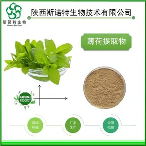 水溶性薄荷提取物 斯诺特生物 药食同源薄荷粉 包邮发货