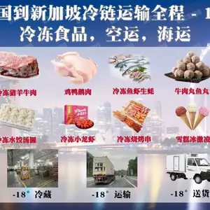 冷冻食品拼箱/整柜运输到新加坡