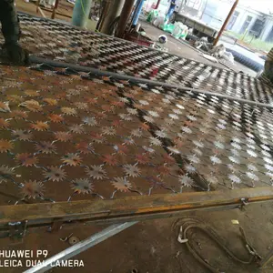 ���ո���̫������˿�� ̫������������������