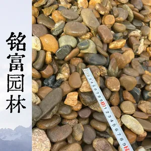 杂色3-5公分鹅卵石 园林造景原石,普通的鹅卵石3-5公分