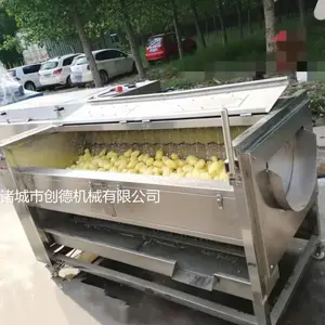 红萝卜去皮机 根茎类清洗机 鲜玉米清洗机厂家