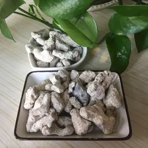 Դͷ��Ӧˮ����ֳɺ���� ���������ˮ��ɺ��ɰ
