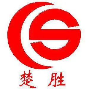 楚胜汽车集团有限公司
