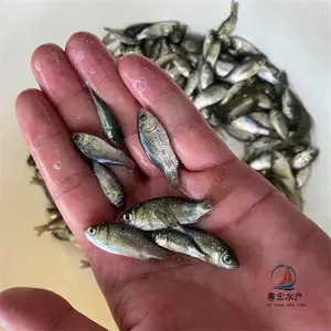��ˮ���๤�������� ���������� �׽�������