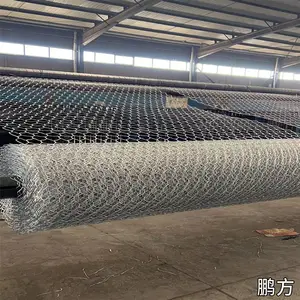 铺设河道边坡防冲刷15*15cm孔镀锌石笼网 耐腐蚀pe包塑铅丝网