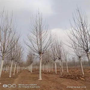¤���������ͷ�ͩ-�̻����籨��