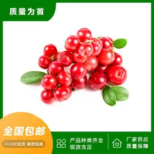 樱桃提取物 樱桃粉 沃特莱斯生物 浓缩萃取 速溶冲剂原料