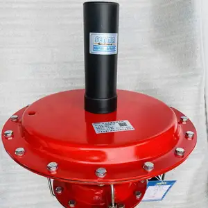 SENMA����ʽ��Ĥ΢ѹ���ڷ�ZZYVP-16P�������ⷧ